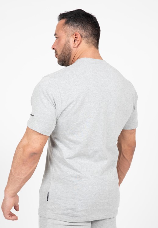 Leon T-Shirt Gray
